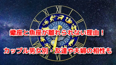 蠍座と魚座が離れられない理由